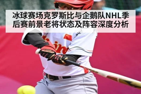 冰球赛场克罗斯比与企鹅队NHL季后赛前景老将状态及阵容深度分析